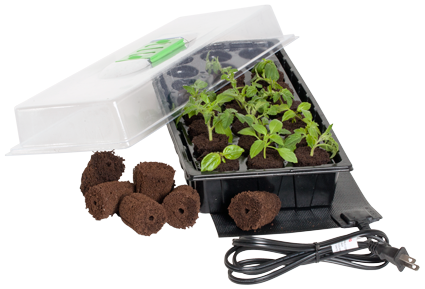 Mini Germination Station